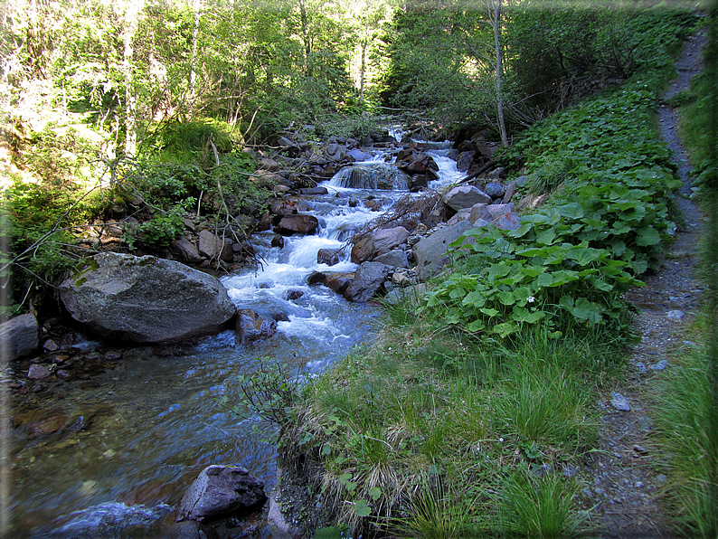 foto Malga Valsorda